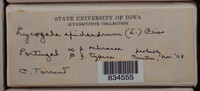 Image Associated With the Occurence